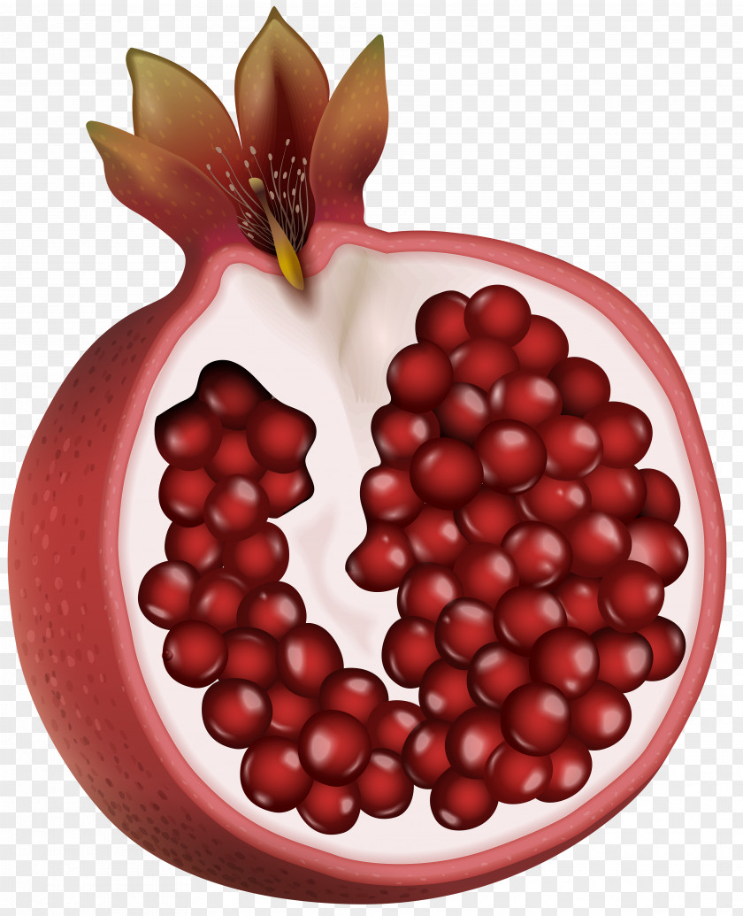 Red Pomegranate Clip Art Image Fruit Blueberries PNG