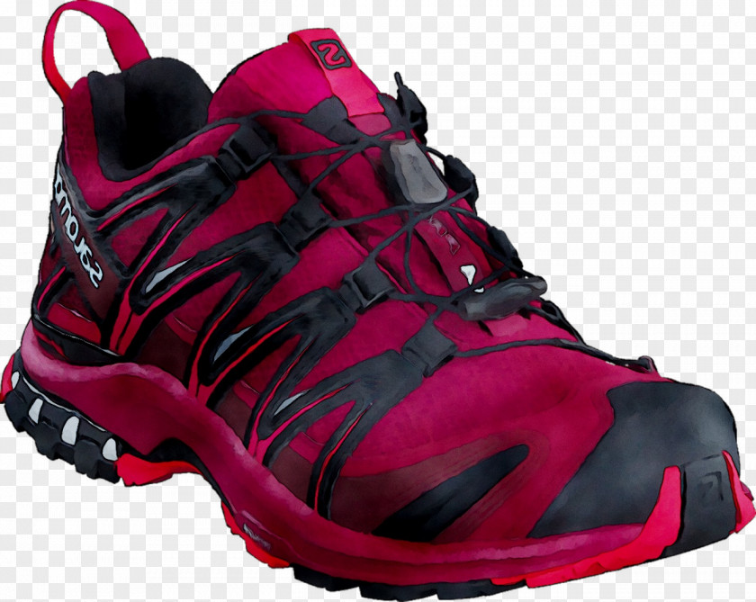 Sports Shoes Sneakers Hiking Boot Sportswear PNG
