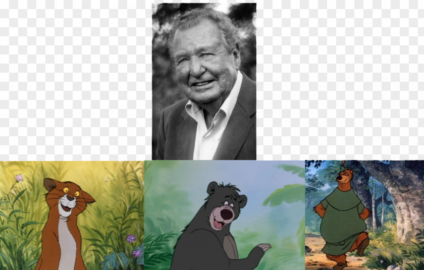 The Jungle Book Baloo Thomas O'Malley Petit Jean Voice Actor PNG
