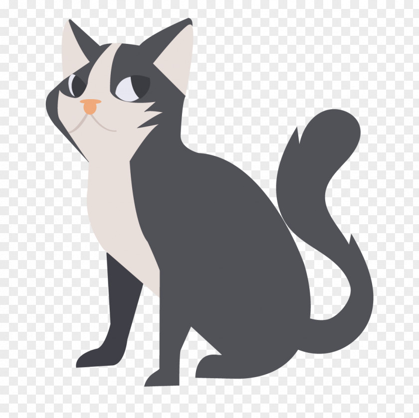 Vector Gray Kitten Cat Breed PNG