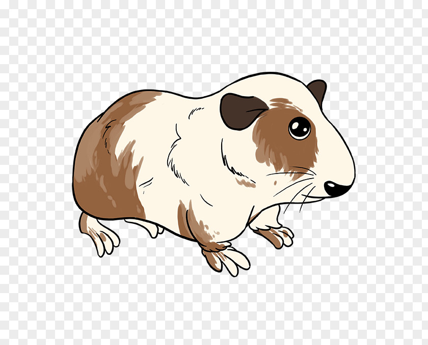 Fawn Hamster Pig Cartoon PNG