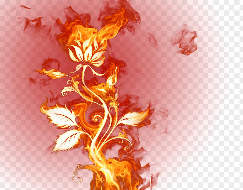 Flame Effects Flower Vine Fire Download PNG