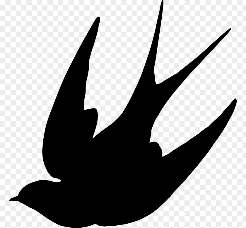 Flying Sparrow Swallow Bird Silhouette Clip Art PNG