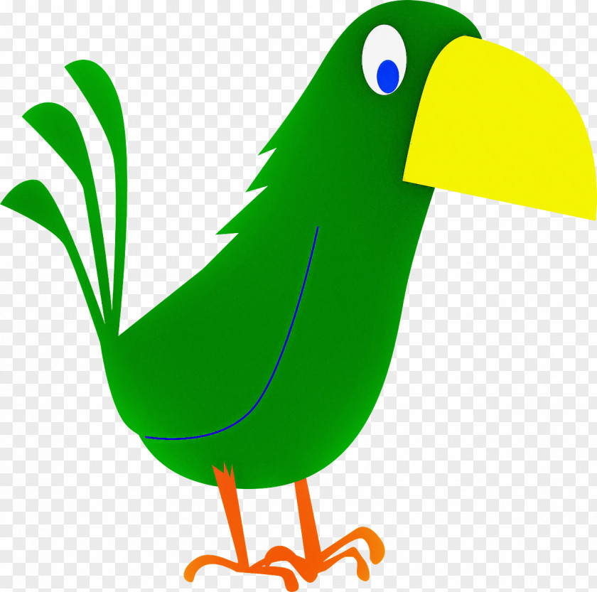 Line Art Animal Figure Bird Beak Green Toucan Piciformes PNG