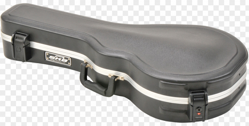 Musical Instruments Mandolin Skb Cases PNG
