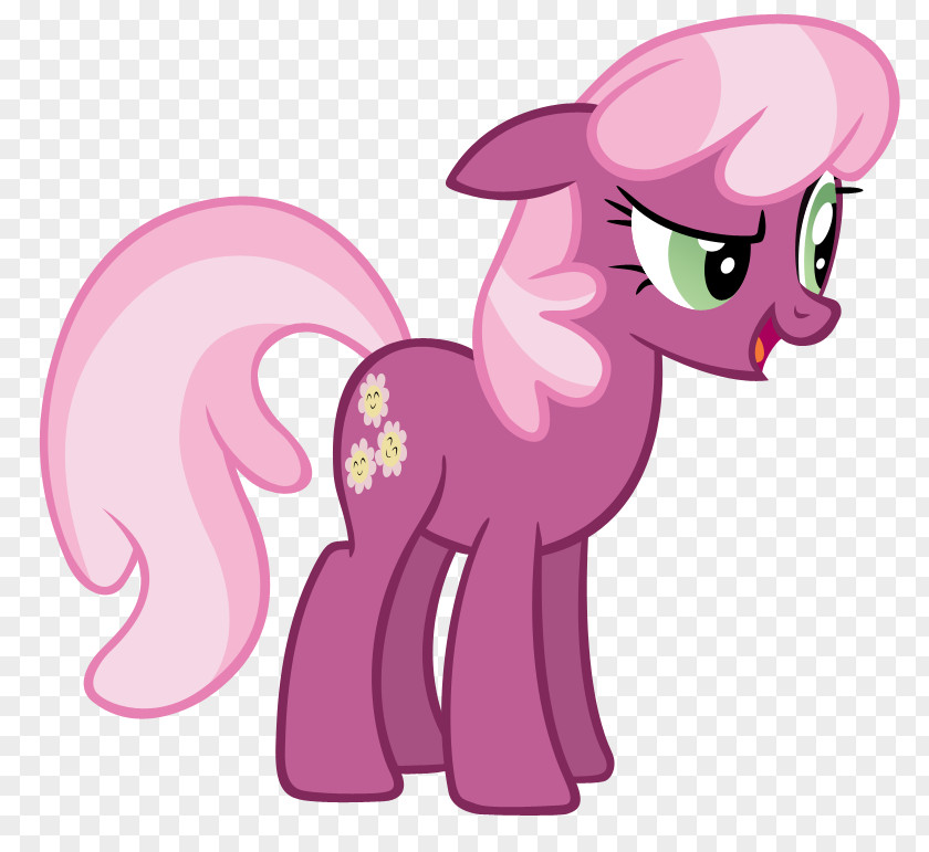 My Little Pony Pony: Friendship Is Magic Fandom Cheerilee Twilight Sparkle PNG