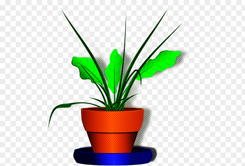 Plant Stem Flower Flowerpot Houseplant Leaf PNG