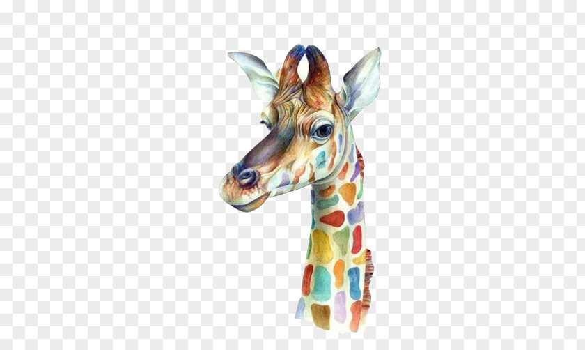 Avatar Image Creative Giraffe Color Of Lead Canvas Print Printing Printmaking PNG