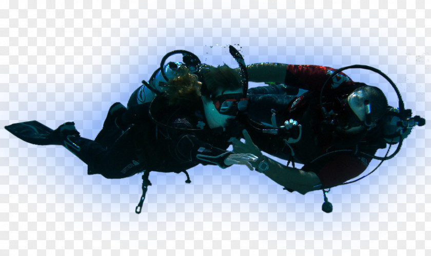 Beetle Buoyancy Compensators Scarab Insect PNG
