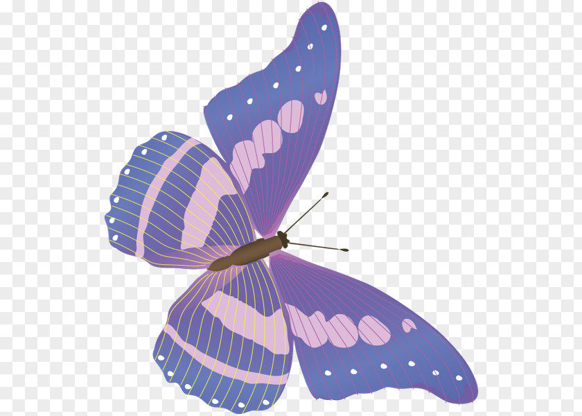 Butterfly Nymphalidae Clip Art PNG