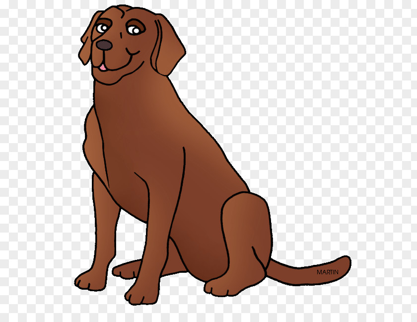 Chesapeake Cliparts Bay Retriever Labrador Golden Puppy PNG