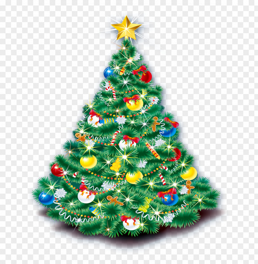 Christmas Tree Clip Art PNG