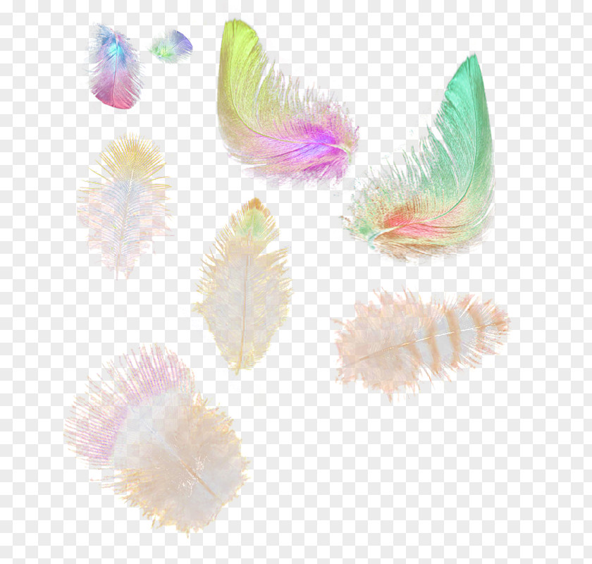 Feather Raster Graphics Editor Software Computer PNG