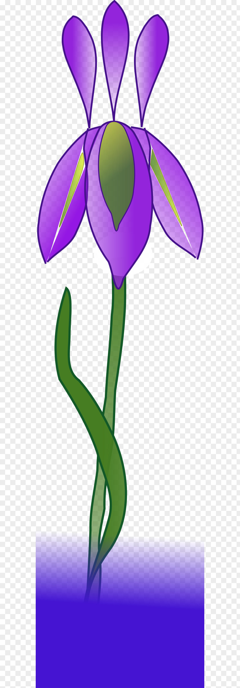 Iris Watercolor Painting Clip Art PNG