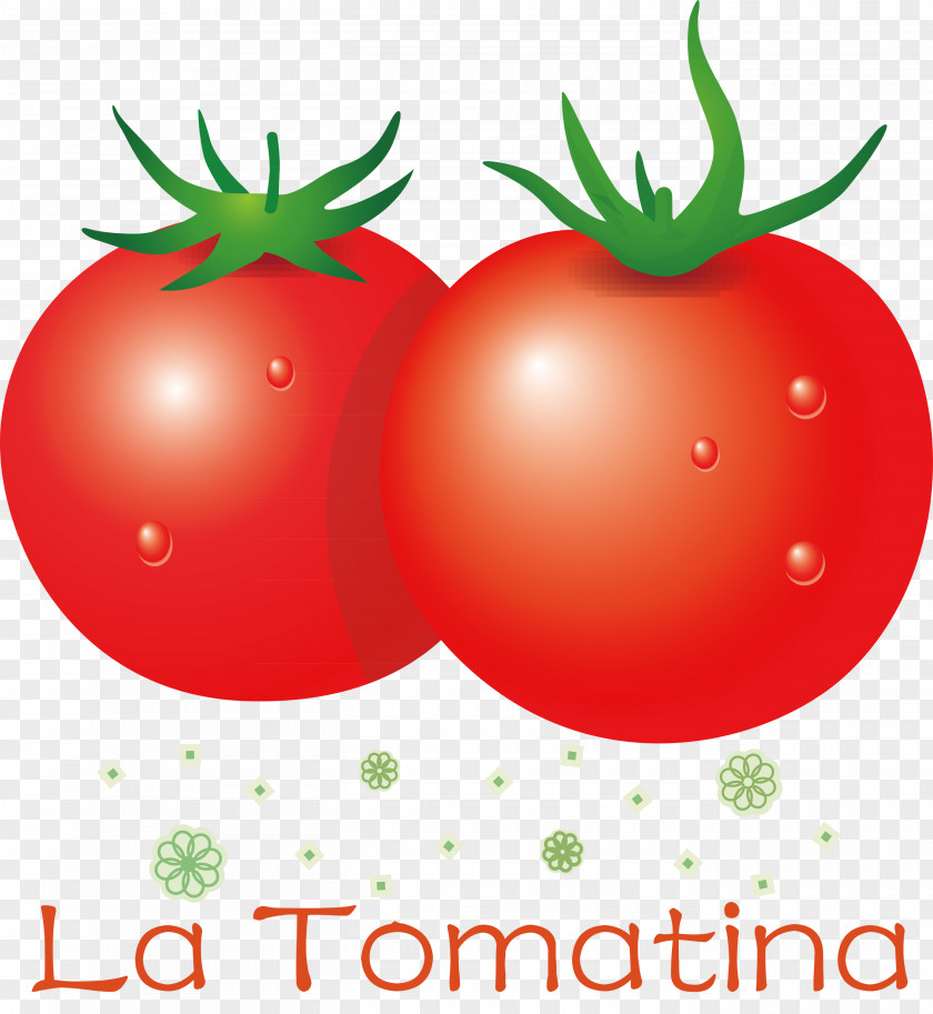 La Tomatina Tomato Throwing Festival PNG