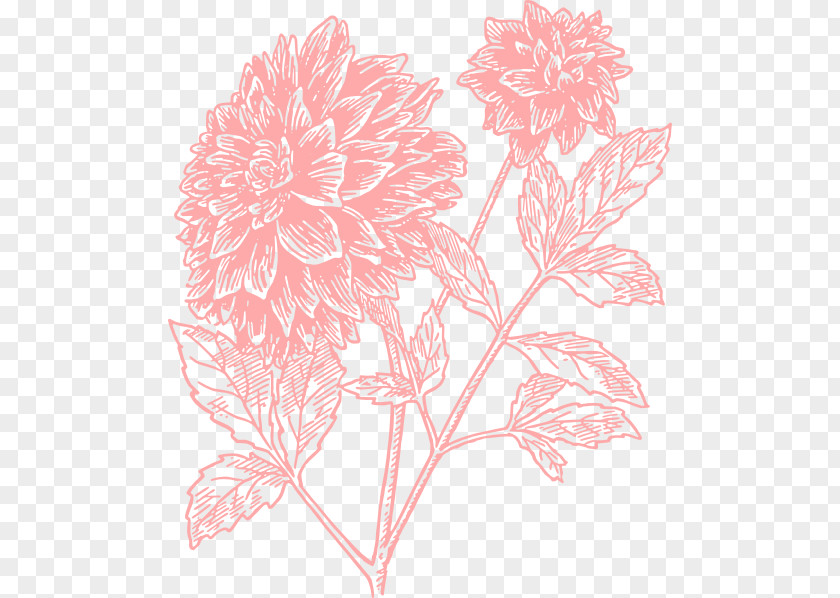 Large Floral Cliparts Design Flower JD NAIL SPA & SALON Dahlia Clip Art PNG