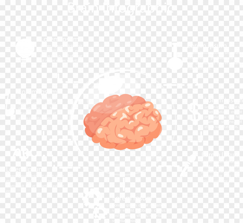 Ppt Designs Brain Maps Circle Pattern PNG