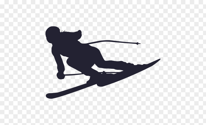 Ski Alpine Skiing Winter Sport Jumping PNG