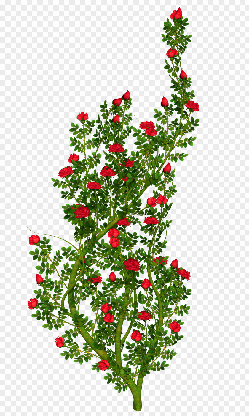 Bushes Floral Ornament Rose Clip Art PNG