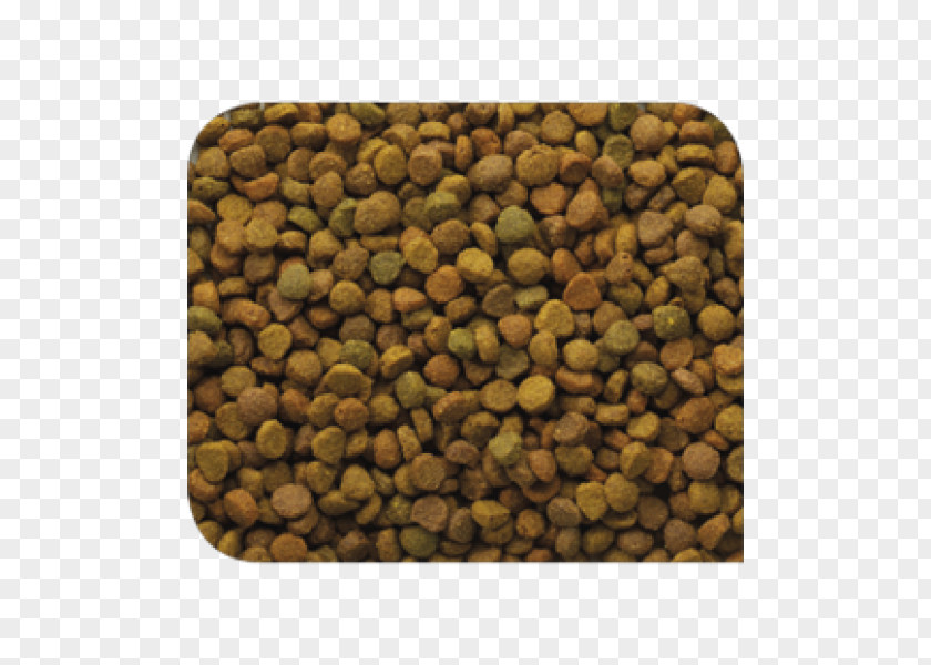 Lose Cat Food Pet Torrfoder PNG