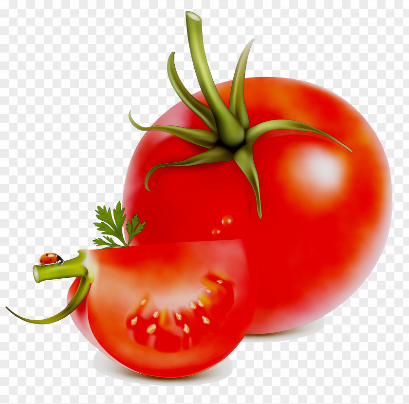 Plum Tomato Food Peperoncino Bell Pepper PNG