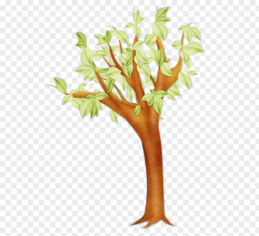 Tree Coarse Woody Debris Twig Forest Branch PNG