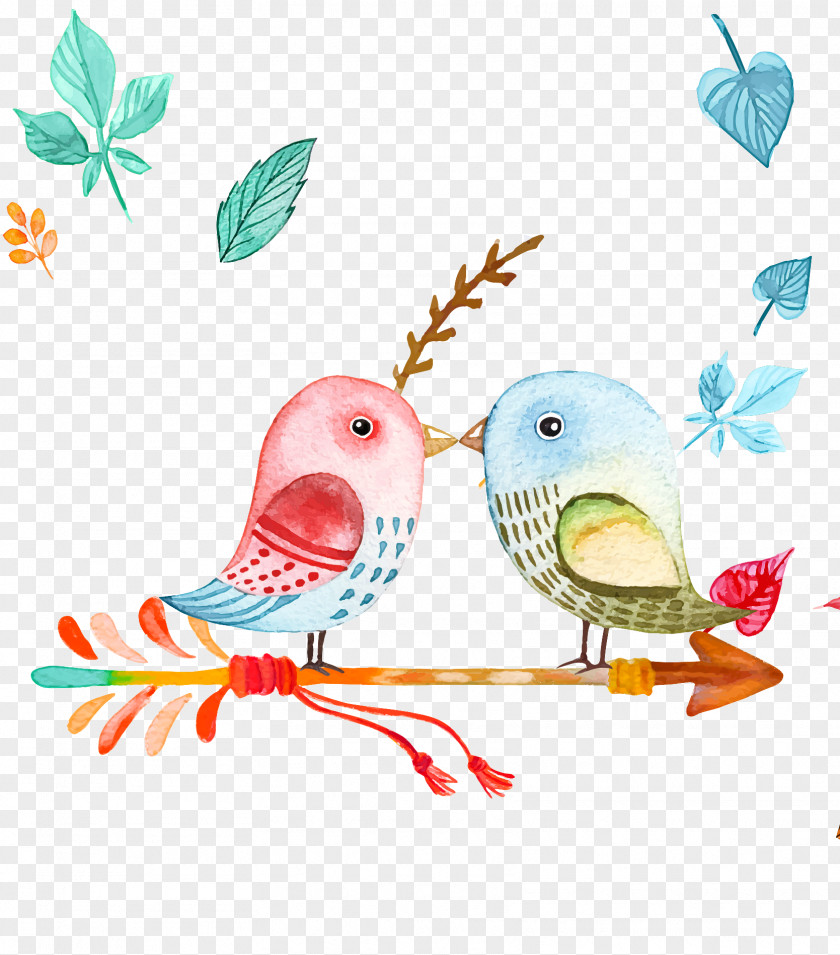 Beak Parakeet Lovebird PNG