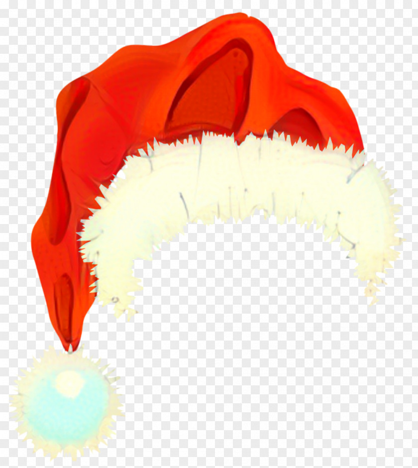 Costume Hat Santa Claus PNG