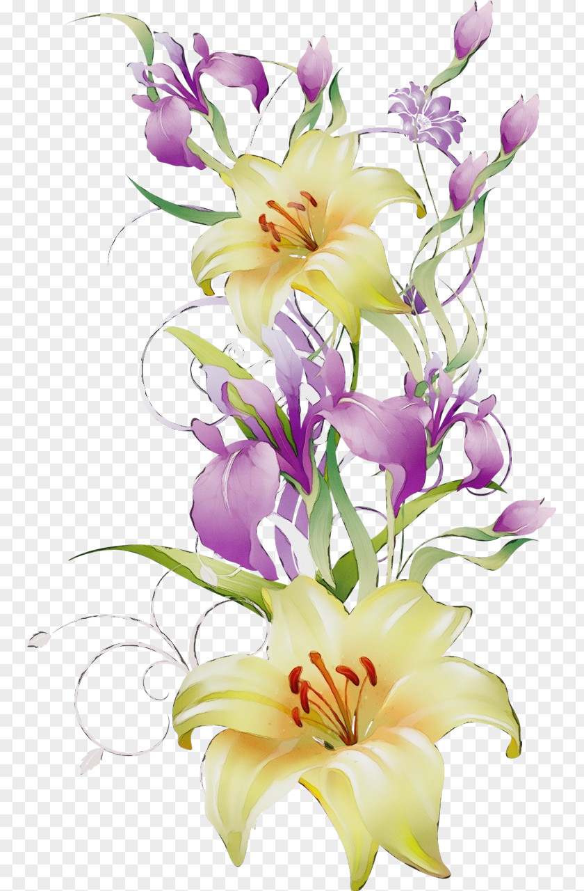 Floral Design PNG