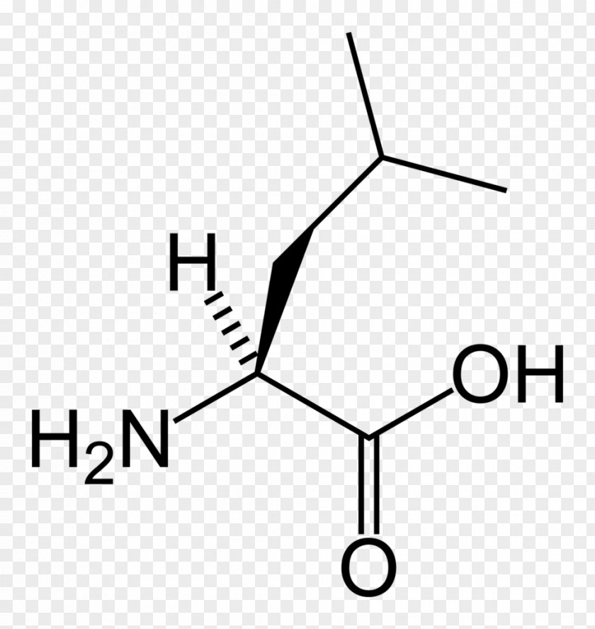 L Alanine Leucine Amino Acid Serine Skeletal Formula PNG