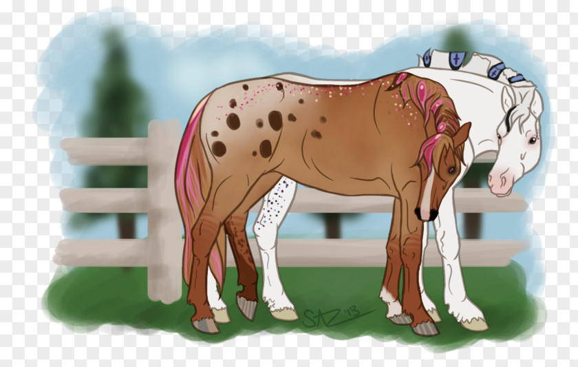 Mustang Pony Foal Mare Stallion PNG