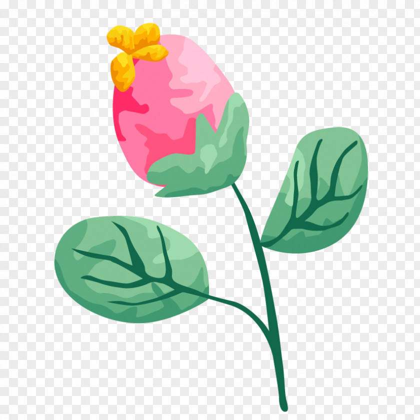 Ninety Flower PNG