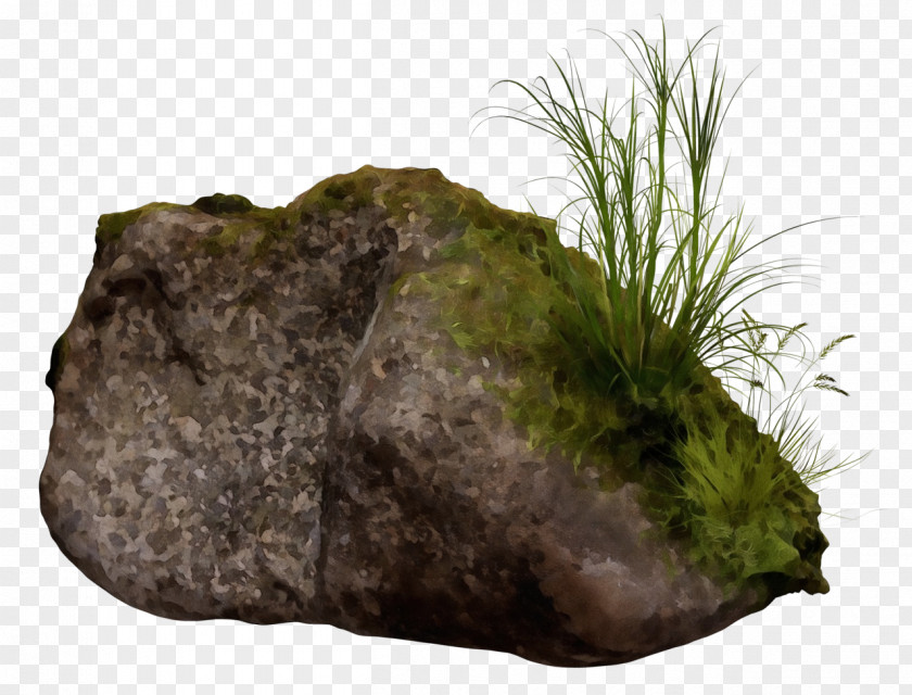 Soil Nonvascular Land Plant Rock Background PNG