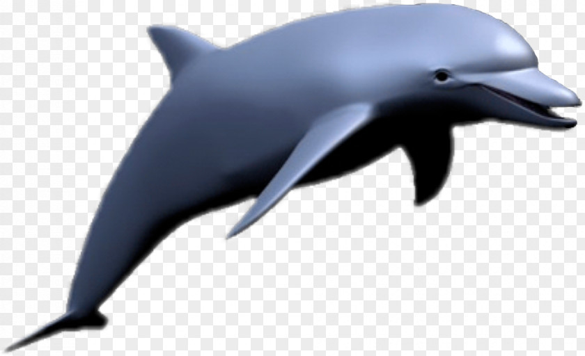 Dolphin Meme Vaporwave Seapunk PNG Seapunk, dolphin clipart PNG