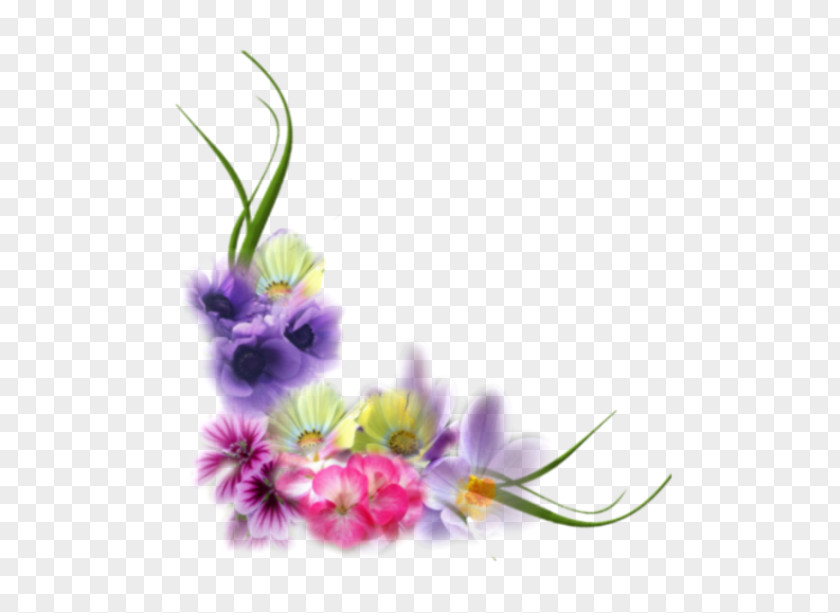 Flower Floral Design Picture Frames .net PNG