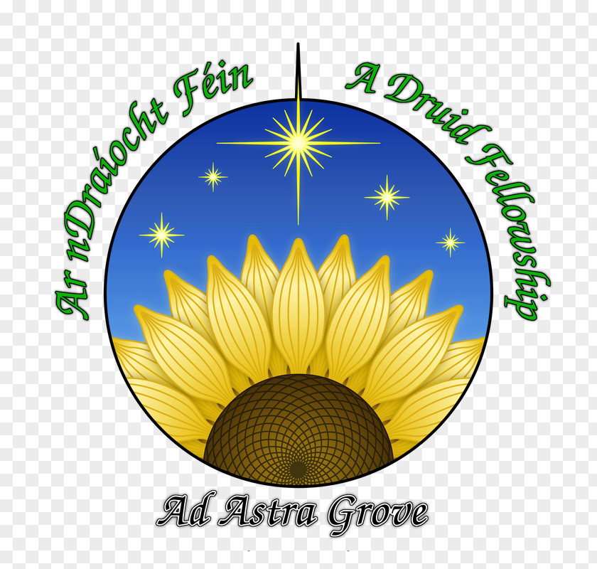 Grove Druid Ár NDraíocht Féin Divination Faith Belief PNG