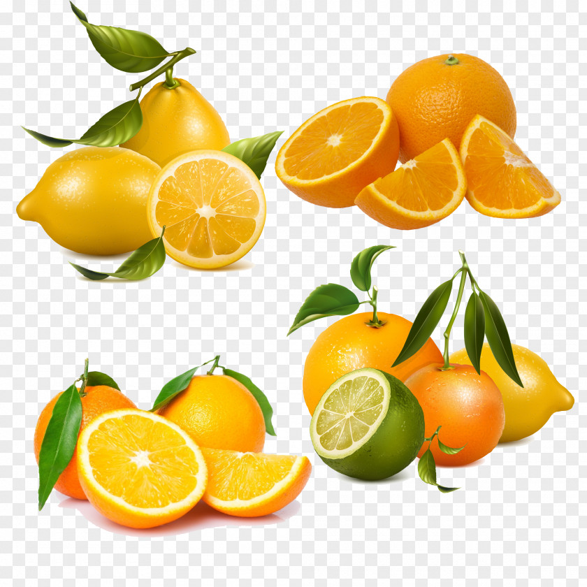 Lemon And Orange Soft Drink Pantry Tangerine Beverage Can PNG