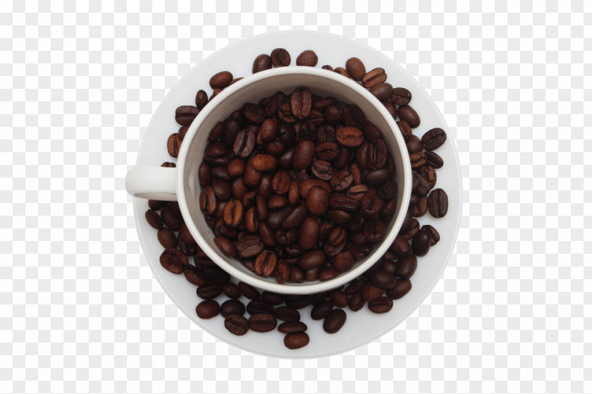 The Coffee Beans In White Cup Arabica Cappuccino Bean PNG