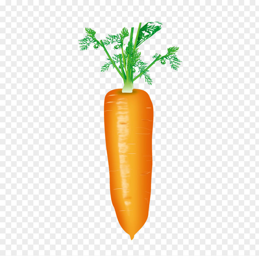 A Carrot Strawberry Juice Baby PNG
