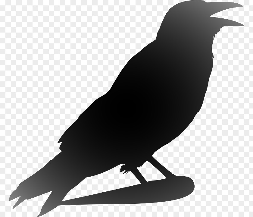 Crow Clip Art Openclipart Image PNG