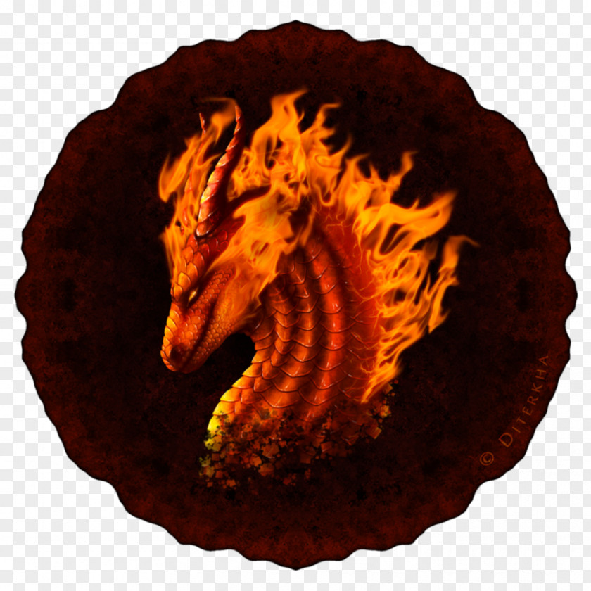 Flame Dragon Organism Animal PNG