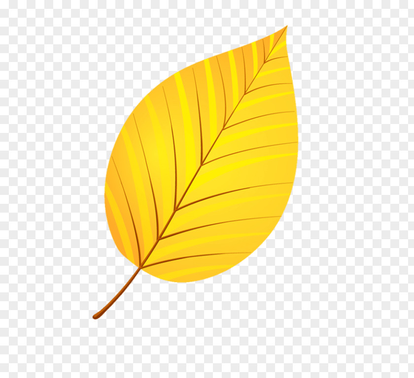 Leaf Leaflet Yellow Clip Art PNG