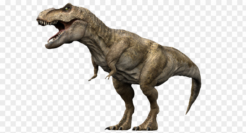 Sharp Roar Rex Combat Of Giants: Dinosaurs 3D Tyrannosaurus Computer Graphics Modeling PNG