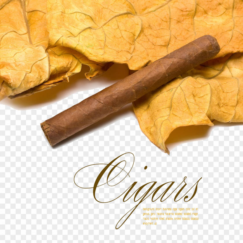 Tobacco And Cigar Clip Buckle Free HD PNG