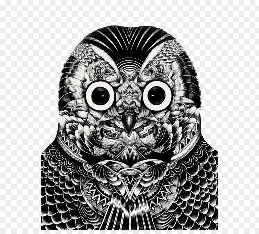Black And White Owl Avatar Barn Bird Drawing Illustration PNG