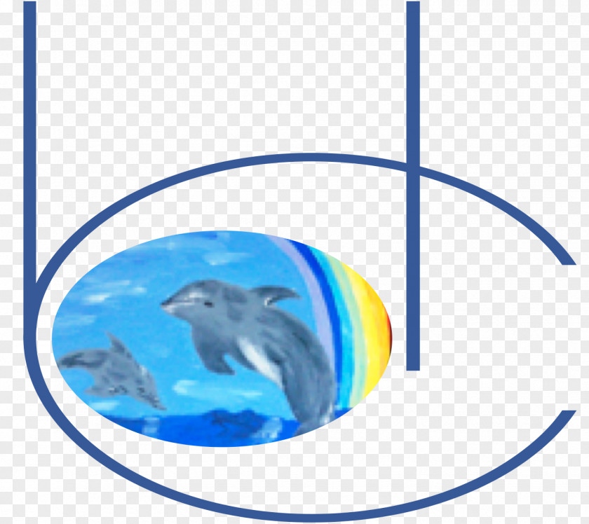 Dolphin Coaching Healing Reiki PNG