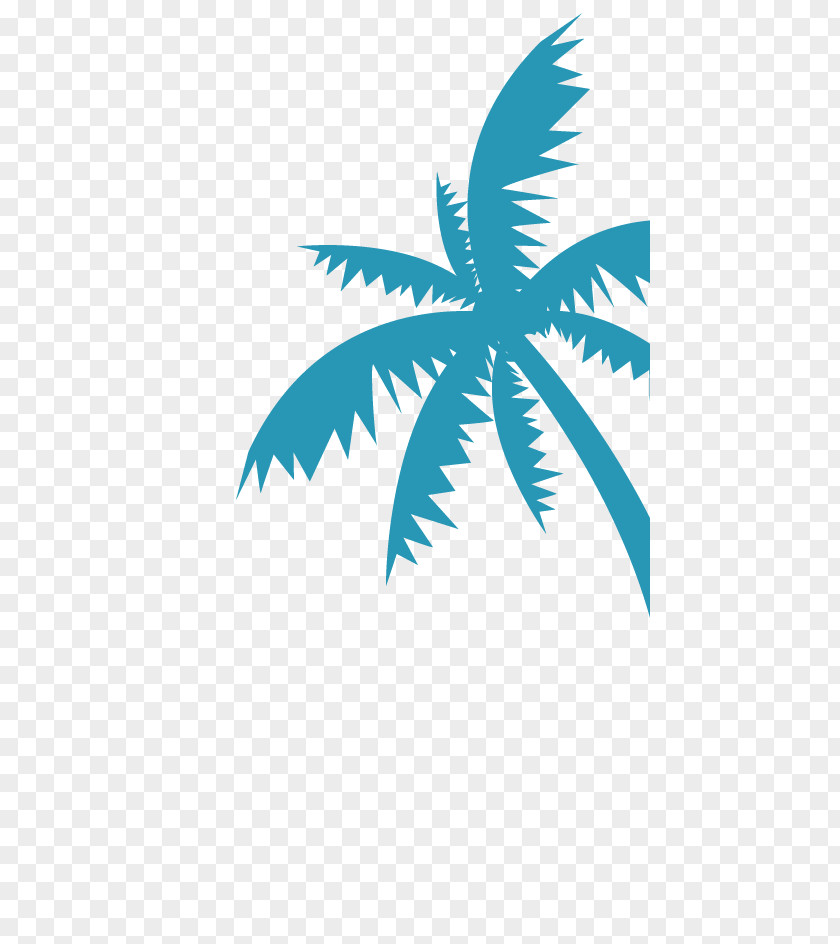 Terms And Conditions Arecaceae Coconut Water Clip Art PNG