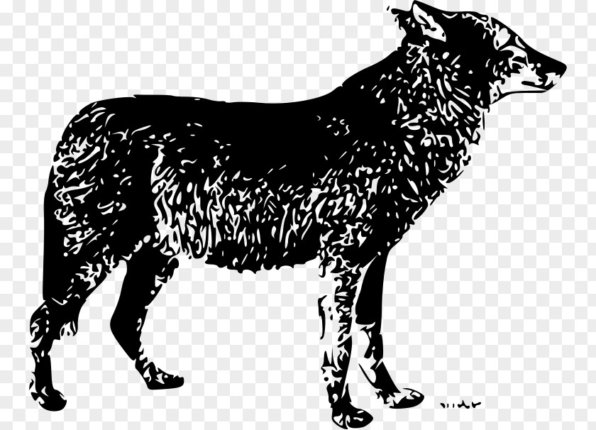 Loneto Seppala Siberian Sleddog Australian Cattle Dog Czechoslovakian Wolfdog Saarloos Big Bad Wolf PNG