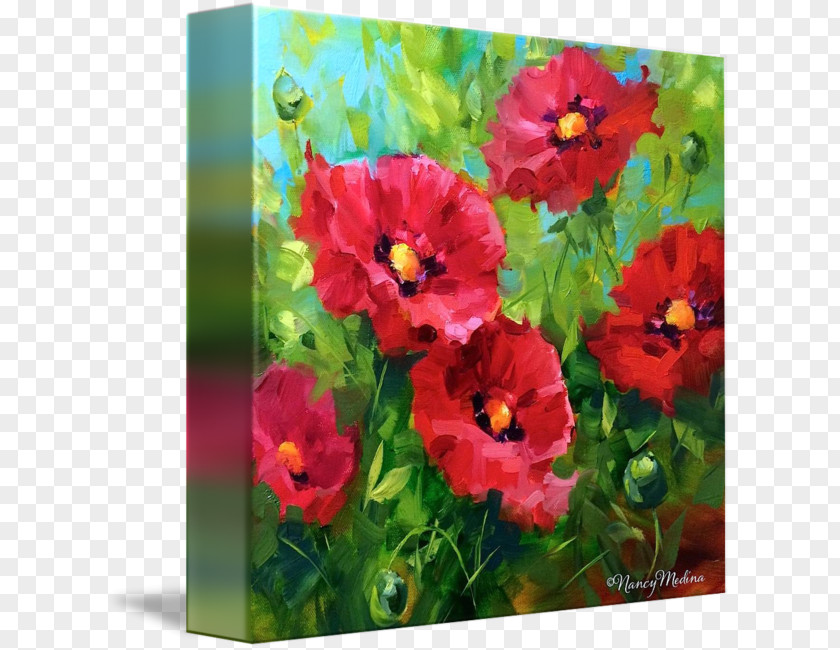 Red Poppies Common Poppy Gallery Wrap Wildflower PNG