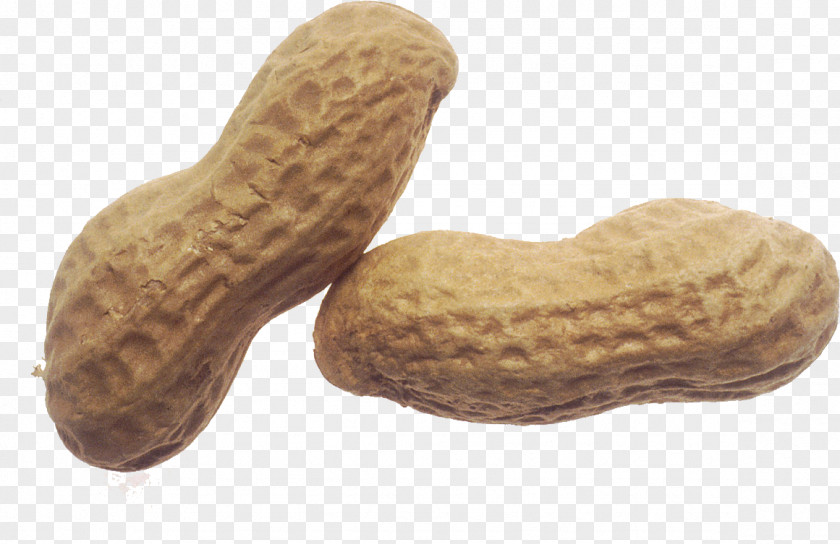 Roasted Peanut National Day Clip Art From To Butter PNG